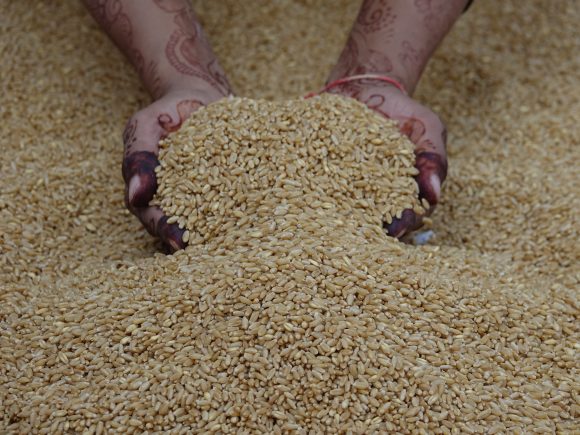 The Climate Change Mitigation Potential