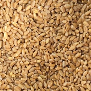 e6d314ee-e36f-4e3b-b9aa-1c2233304b63